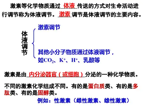 通过激素的调节