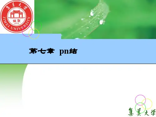 7. 第七章  pn结
