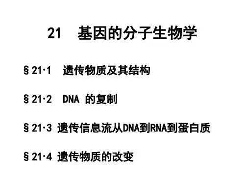 21 基因的分子生物学