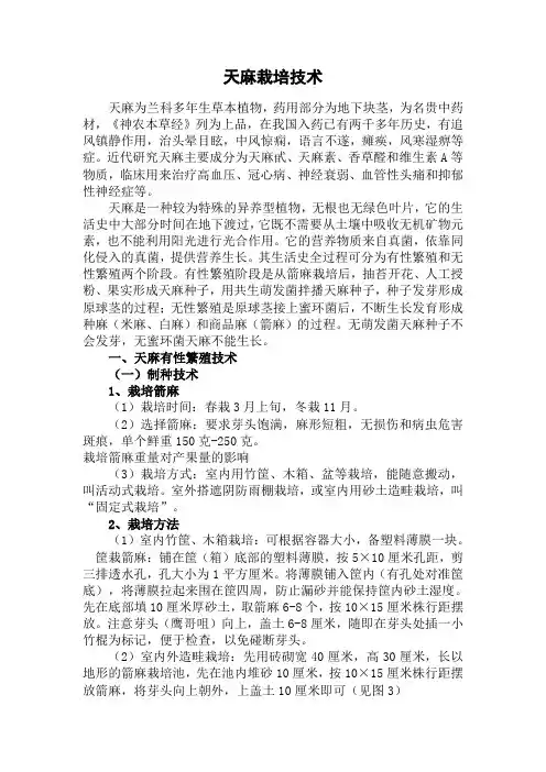 天麻栽培技术讲课讲稿