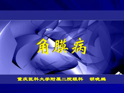 角膜病(大课)