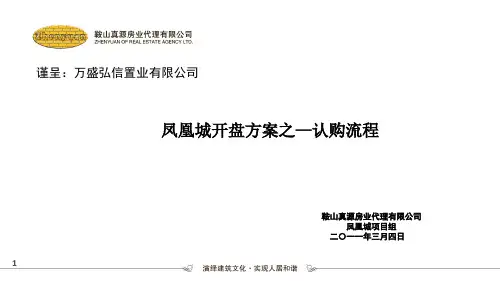 开盘方案之VIP办卡及认购流程