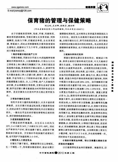 保育猪的管理与保健策略