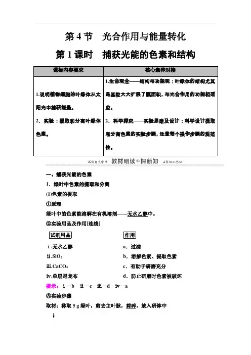 2020-2021学年生物新教材人教必修1学案：第5章第4节第1课时捕获光能的色素和结构含解析