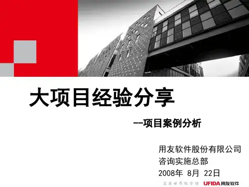 U8吴昉-大项目经验分享-案例分析