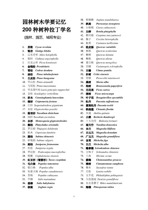 200种树木拉丁学名