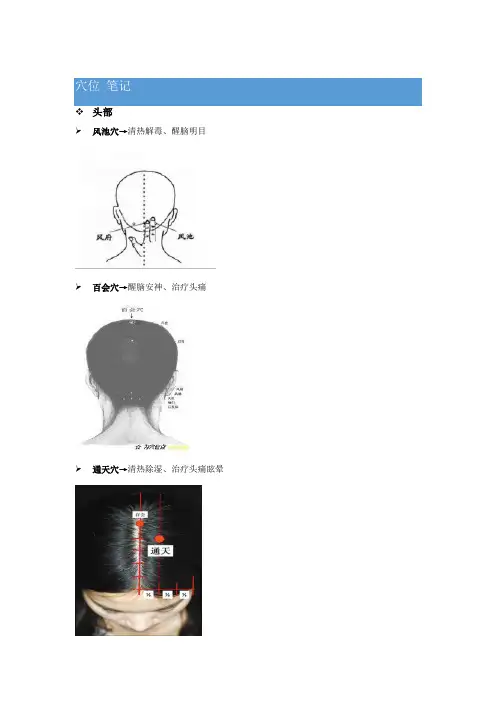 身体主要穴位及主要功能
