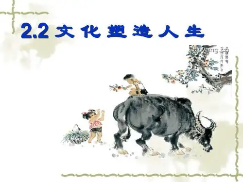2.2文化塑造人生