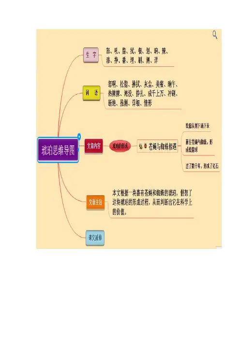 思维导图最新人教版四年级语文下册《琥珀》