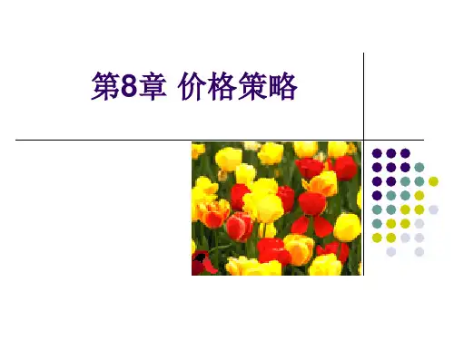 价格策略讲义.pptx