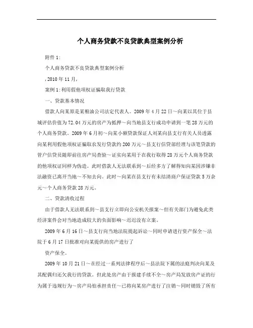 个人商务贷款不良贷款典型案例分析