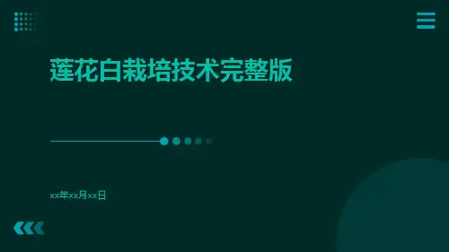 莲花白栽培技术完整版