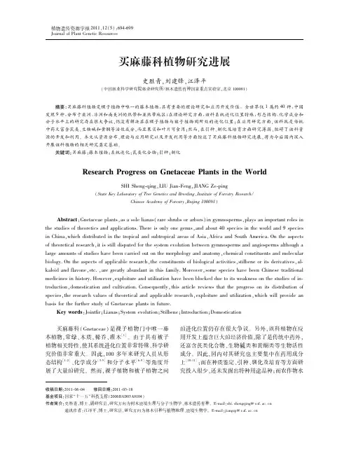 买麻藤科植物研究进展