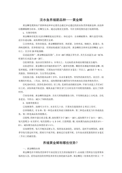 淡水鱼养殖新品种——黄金鲫