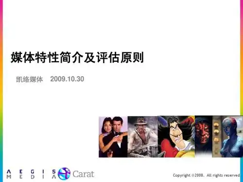 2-各媒体优劣势及执行评估标准