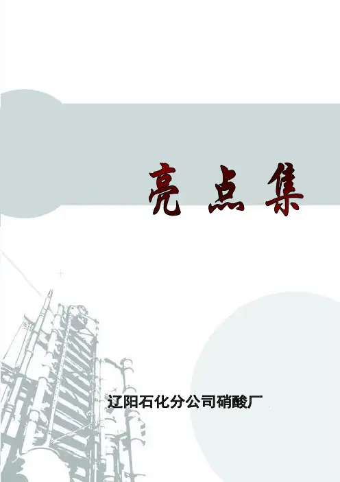 《硝酸厂亮点集》.doc