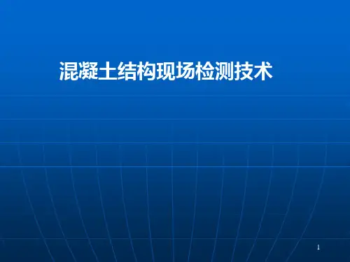 混凝土结构现场检测技术标准课件2