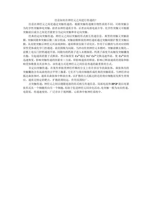信息如何在神经元之间进行传递的