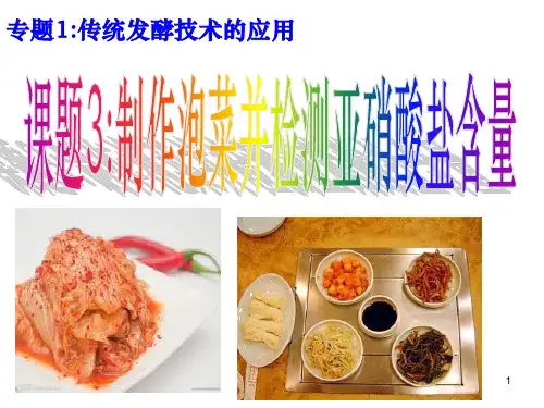 泡菜制作(上课)PPT幻灯片