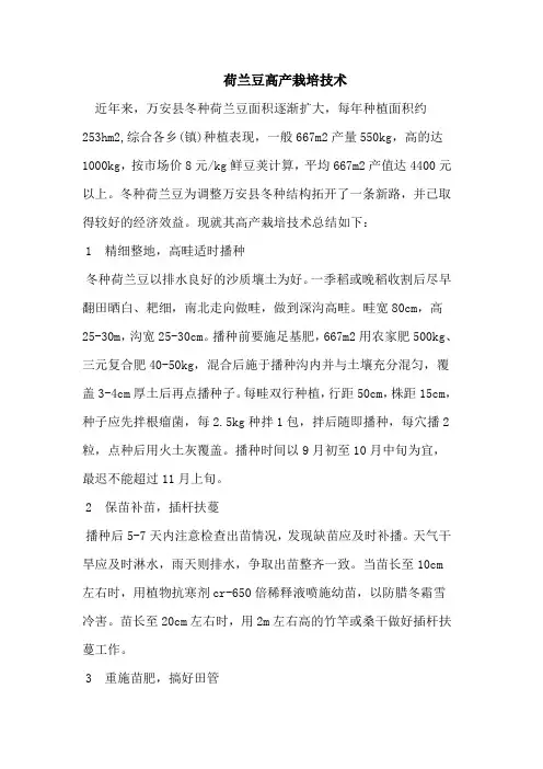 荷兰豆高产栽培技术