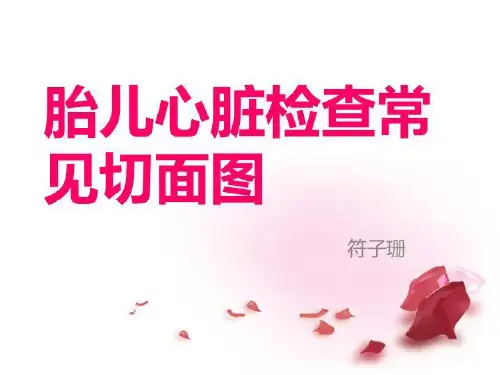 胎儿心脏检查常见切面图