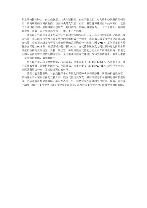 解剖指导：肺的结构与解剖简述