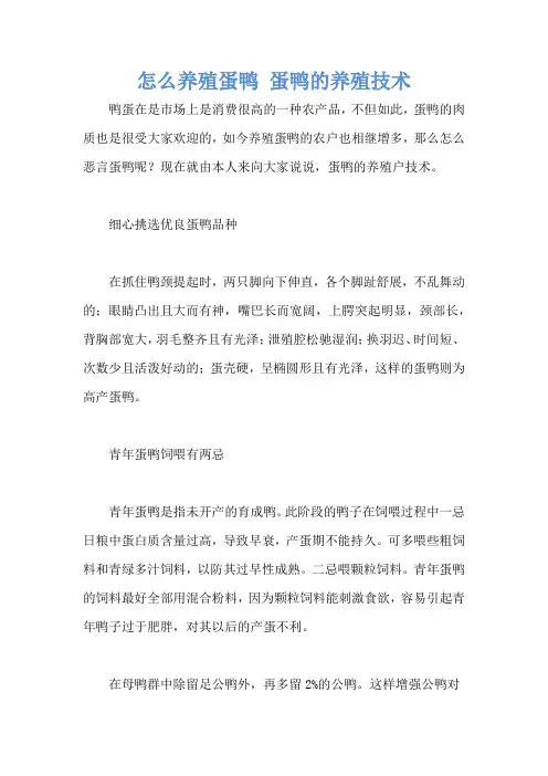 怎么养殖蛋鸭 蛋鸭的养殖技术