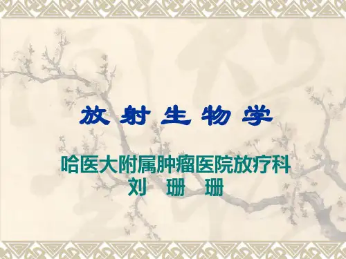 放射生物学 第四章 L