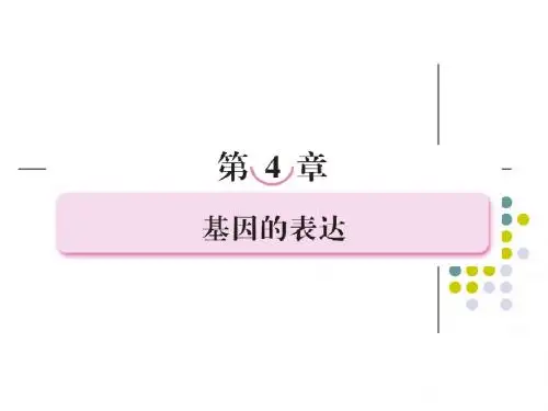 必修二第四章  基因的表达
