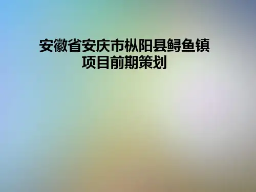 安徽省安庆市枞阳县鲟鱼镇项目前期策划