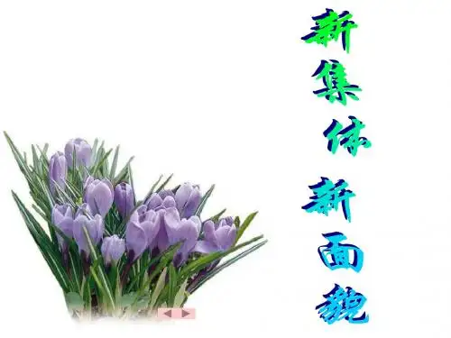 七年级政治新集体新面貌