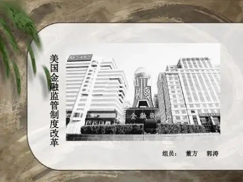 美国的金融危机(董方  郭涛)
