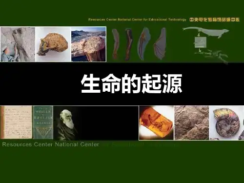 北师大版生物八年级下册生命的起源 (2)