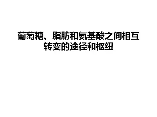 最新葡萄糖、脂肪和氨基酸之间相互转变的途径和枢纽