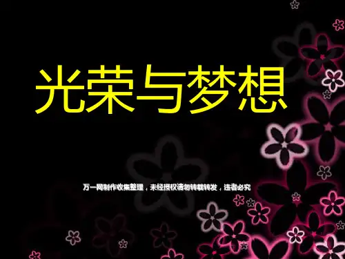 保险公司个人激励专题光荣与梦想20页