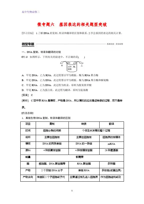 人教版生物必修二教师用书：第4章 基因的表达 微专题六 基因表达的相关题型突破 含答案