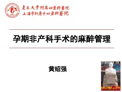 孕期非产科手术的麻醉-半小时版
