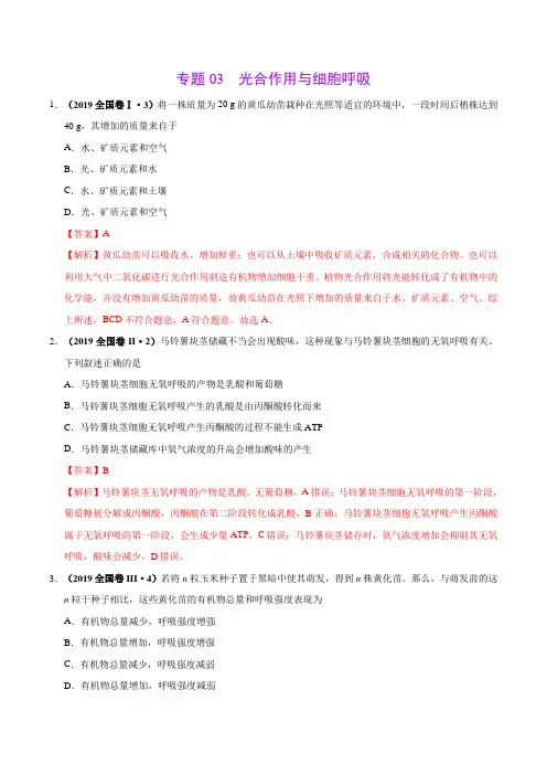 2019高考生物真题3 光合作用与细胞呼吸-三年(2017-2019)高考真题生物分项汇编(解析版)
