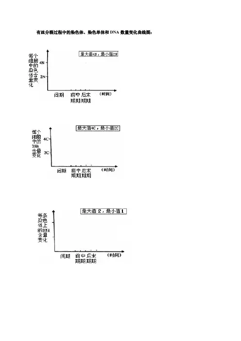 有丝分裂过程中的染色体、染色单体和DNA数量变化曲线图