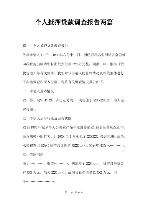 个人抵押贷款调查报告两篇