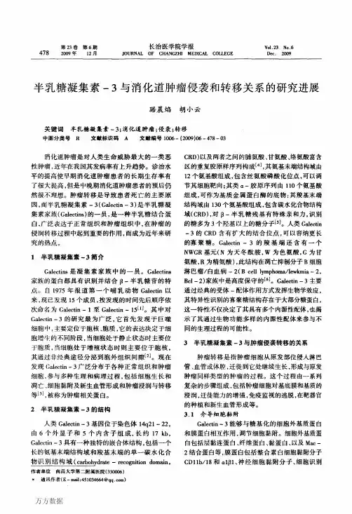 半乳糖凝集素-3与消化道肿瘤侵袭和转移关系的研究进展