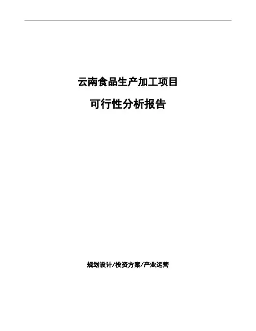 云南食品生产加工项目可行性分析报告