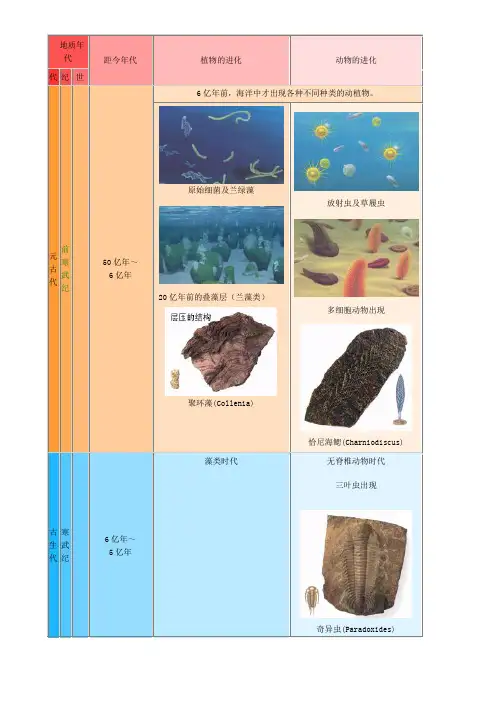 地质年代 2