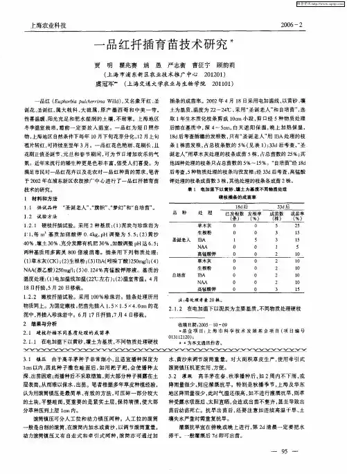 一品红扦插育苗技术研究