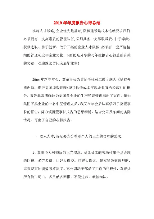 2019年年度报告心得总结