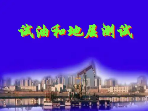 试油和地层测试080104资料