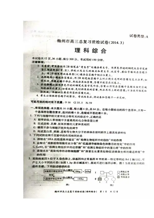 2017届广东省梅州市高三总复习质检理科综合试题及答案 精品