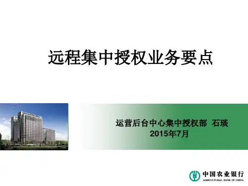 远程集中授权业务要点(新入行)