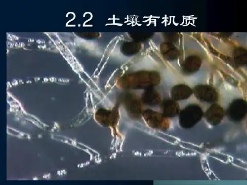 土壤有机质-3-4(4)