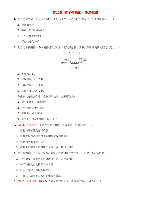 中考生物 考点梳理 第三单元 第二章 被子植物的一生基础练 新人教版1